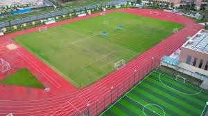 F1就是我的生命！角田裕毅坚定专注未来，不打算转战他赛场