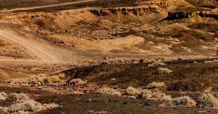 [国内足球中超]第15轮：国安锁定半程冠军 蓉城5-0大胜新鹏城