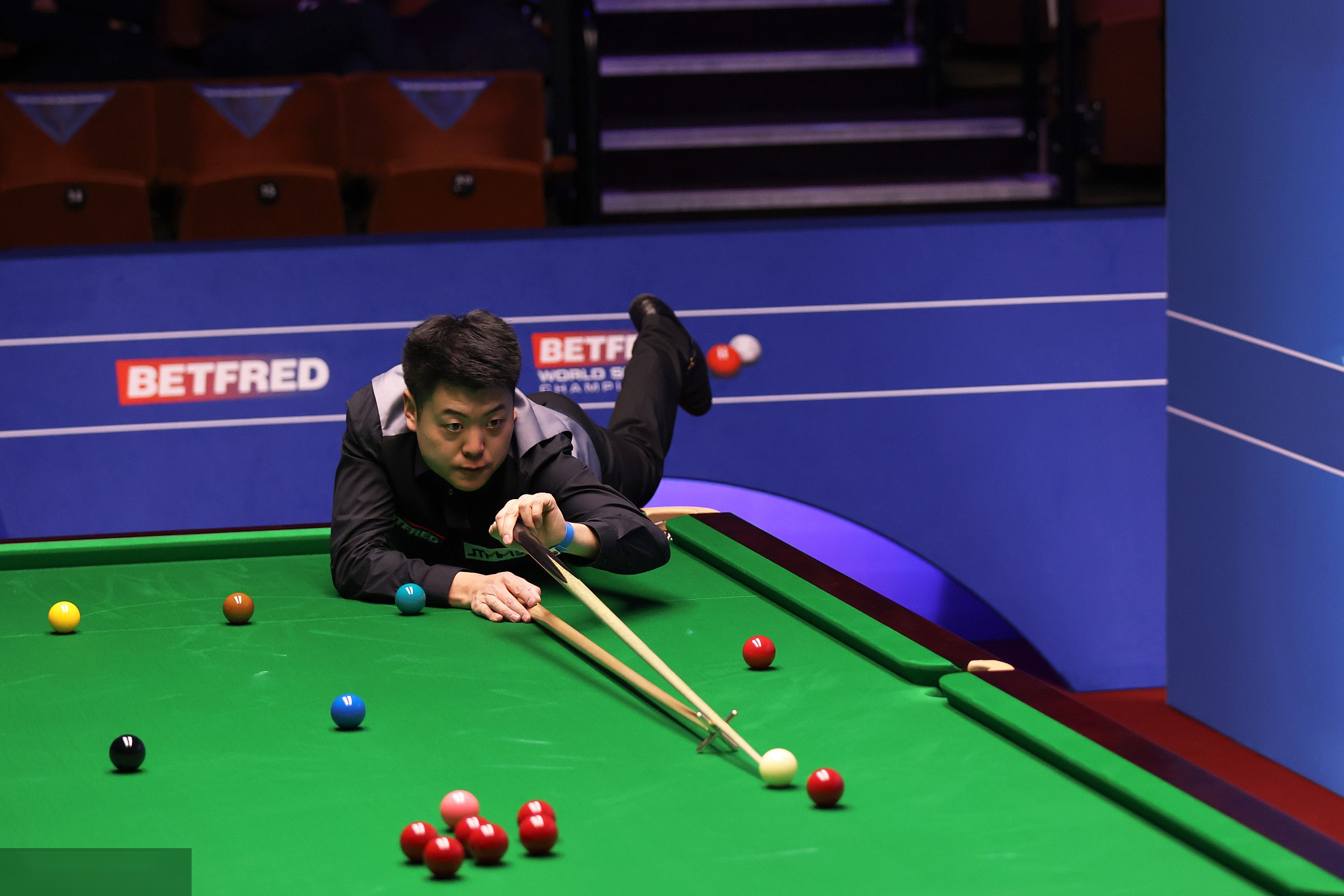 谢奥菲勒与 谢奥菲勒与